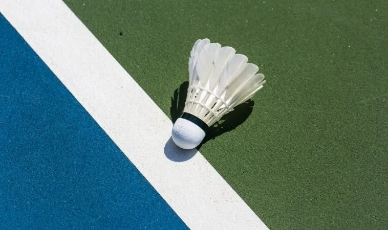 cầu lông tại HB88